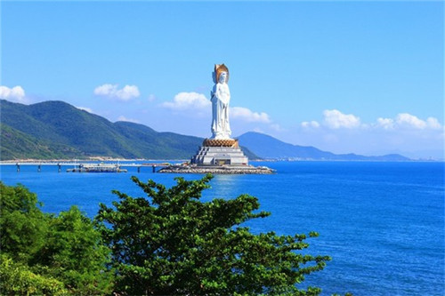 阿咪仙巴牦牛鲜奶