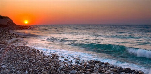 theone炭茶加盟在扬中市开店有哪些优惠，在扬中市比较火爆的奶茶品牌是哪个