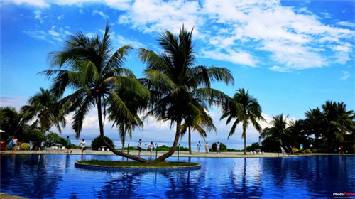 开了家龙凤糖水铺亏损的多吗，加盟龙凤糖水铺真的亏吗