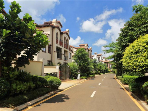 一朵甜棉花糖加盟在扎赉特旗开店有什么前景