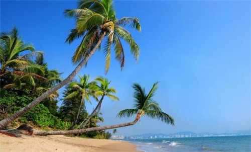 炭六鸡加盟费多少