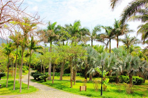 冷冻柜加盟什么项目最赚钱