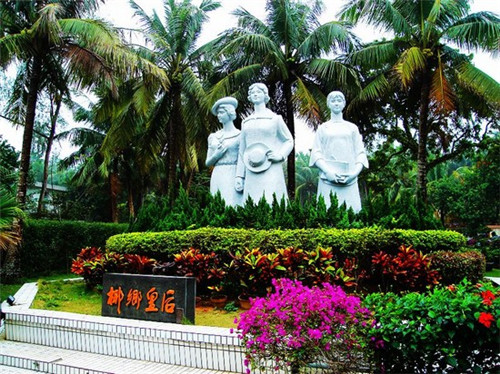 白菜炒木耳怎么炒法（白菜炒木耳的做法大全家常）