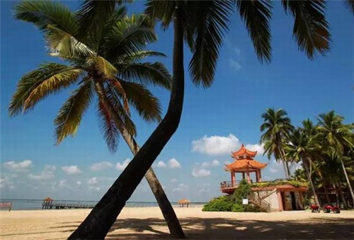 公司取名免费德力牛（力字公司取名）