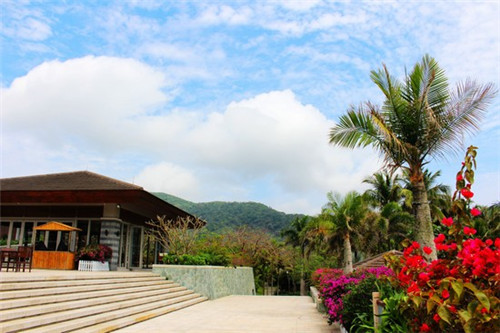 陈赐靓加盟合众（陈赐贵简介）