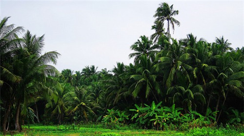 平价礼物送客户合适吗（平价礼物排行榜）