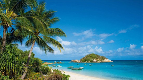 物业最怕什么投诉上海（上海物业举报打哪个部门）