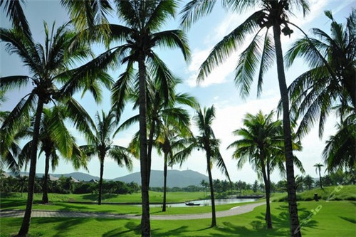 甲申日是什么意思（甲申日是甲日还是申日?）