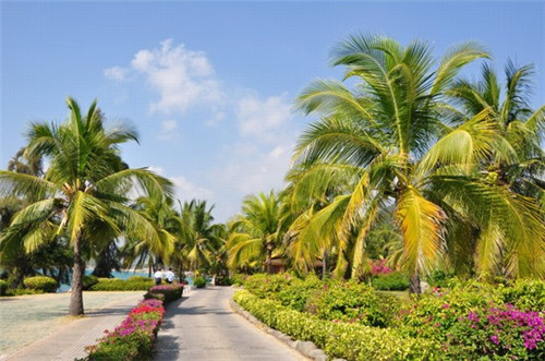 溢家鲜麻辣小海鲜加盟有没有亏本的