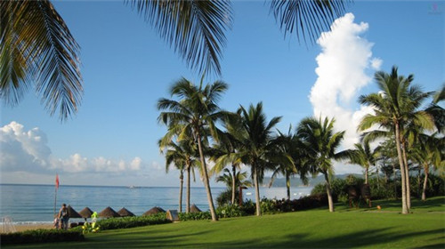 太谷县开店创业羊毛被哪些品牌比较好