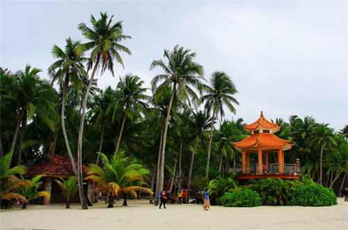 军官父母待遇一览表（国家对军官父母有什么福利）